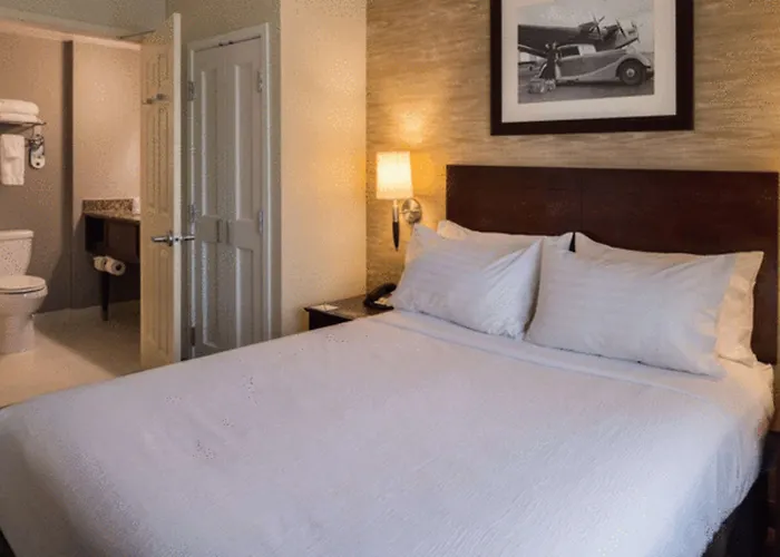 Sonesta Chicago O'Hare Airport Rosemont Hotel